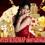 เทคนิค ไฮโล ใช้ Roadmap วิเคราะห์แนวโน้มและบริหารความเสี่ยง