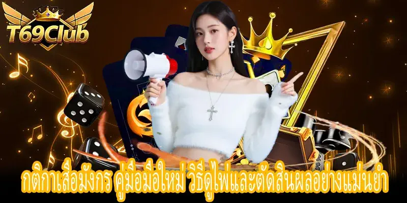 กติกาเสือมังกร คู่มือมือใหม่ อธิบายลำดับไพ่และการตัดสินผล